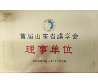 榮譽證書